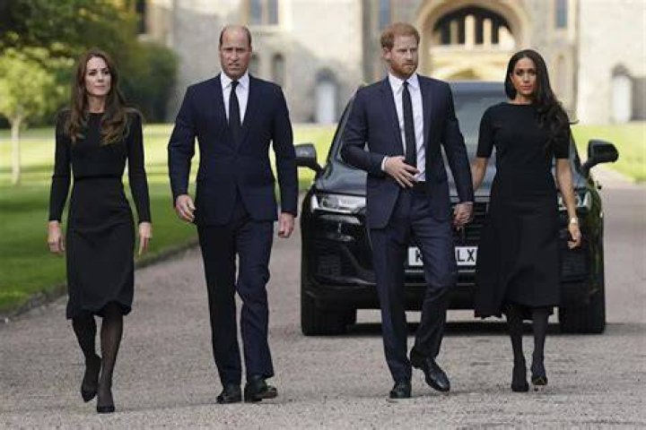 
Prince William and Prince Harry Unite in Special Message for Charity Close to Their Hearts 